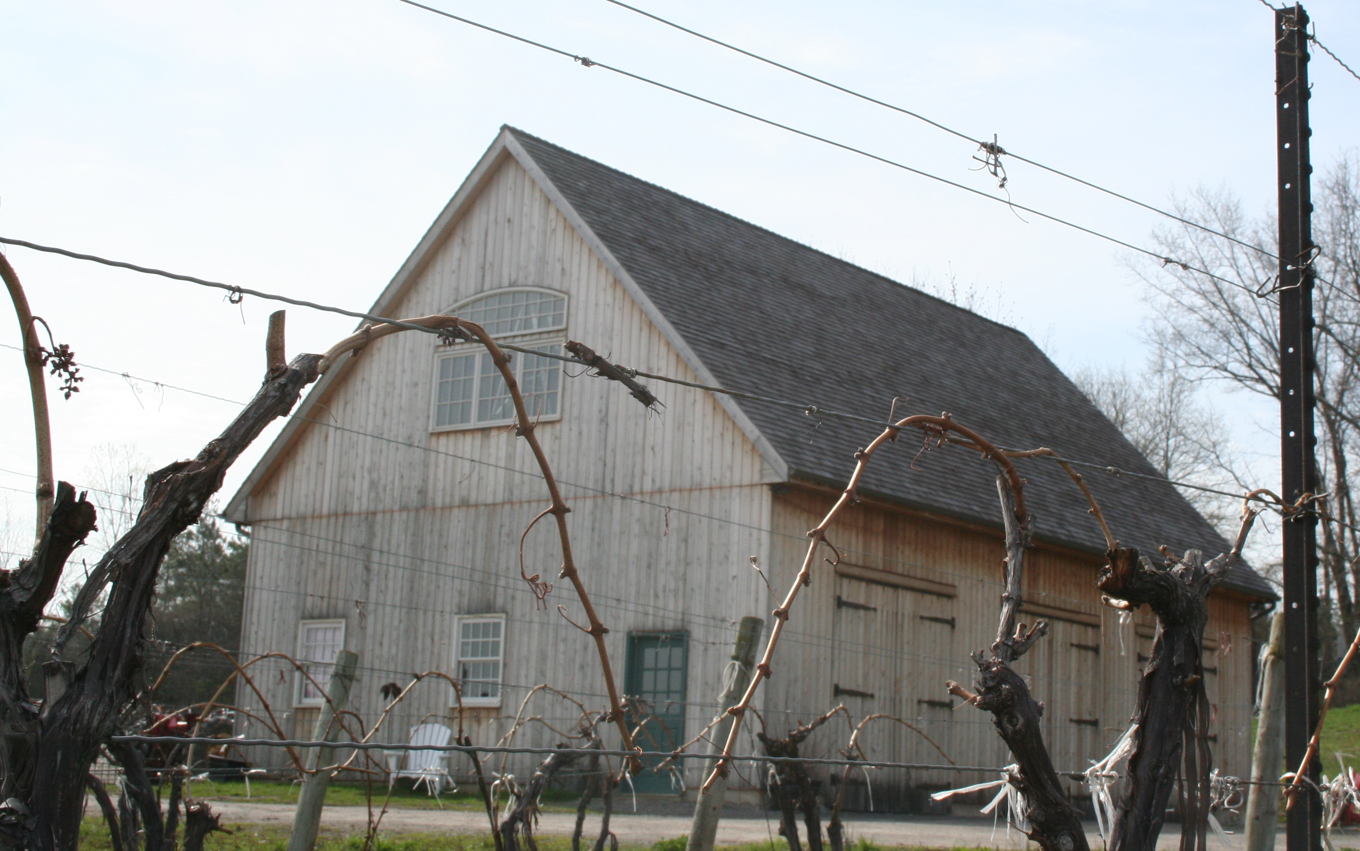barn and buds